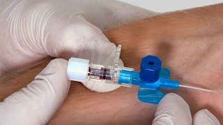 IV Cannulation Procedure ll Intravenous Cannulation Technique youtube viral aiims ivcannula [upl. by Ejrog]