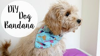 DIY Dog Bandana  No Sew [upl. by Seem]