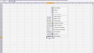 Excel Funktion Dropdown Auswahlliste [upl. by Arobed]