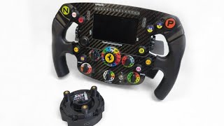 Thrustmaster SF1000 gameplay with Simagic base  wireless and USB conversion [upl. by Troth60]