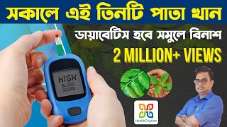 Chew These 3 leaves Diabetes amp High BP will be Normalডায়াবেটিস ও প্রেসার কম করে এই তিনটি পাতা । [upl. by Gessner]