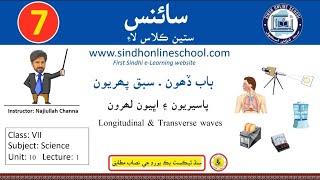 Longitudinal and transverse waves Science Class 7 Chapter 10 Lecture 1 Sindh Online School [upl. by Nnaer141]