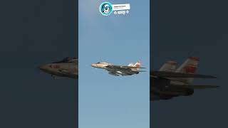 F14 Tomcat Flyby shorts msfs2020 [upl. by Namhar]