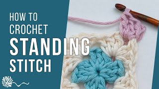 Standing Stitch  Neat Colour Change  Crochet Tutorial [upl. by Evangelina947]