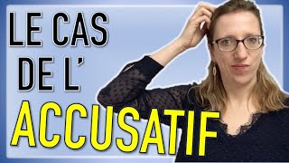 🇩🇪Les déclinaisons en allemand  le cas de lACCUSATIF 🤔 [upl. by Enitsenrae]