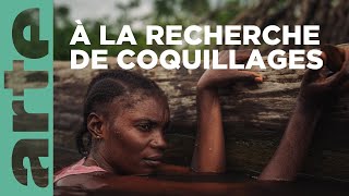 Plongée au coeur du delta du Congo  360° Reportage  ARTE Family [upl. by Rebbecca]