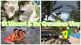 TRAVEL VLOG TO ST VINCENT SUPRISING FAMILY stvincentandthegrenadines travelvlog vacation vincy [upl. by Em]