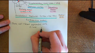 Amyotrophic Lateral Sclerosis ALS Part 1 [upl. by Akeinahs474]