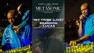 My Tribe MetaSonic Live  Brandon Lucas [upl. by Molloy]