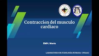 FISIOLOGÍA CARDÍACA  ACOPLAMIENTO EXCITACIÓNCONTRACCIÓN [upl. by Anaerb]