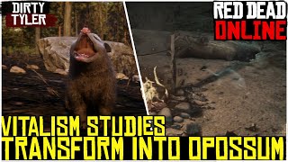 Vitalism Studies How to play as an Opossum In Read Dead Online Opossum Transform Location RDR2 [upl. by Anirbes]