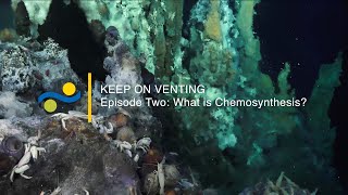 Keep On Venting  Ep 2  What is Chemosynthesis [upl. by Comras]