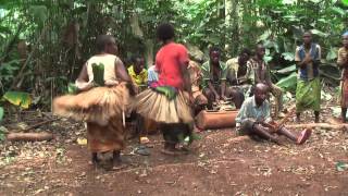 Traditional Baka womens dance East region Cameroon [upl. by Kurman]