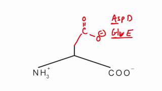 Memorize the 20 amino acids in 20 minutes Part 2 [upl. by Yeltsew]