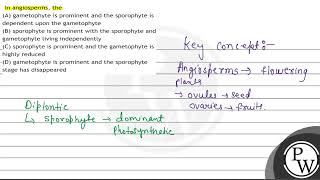 In angiosperms the A gametophyte is prominent and the sporophyte is dependent upon the gameto [upl. by Anailil]