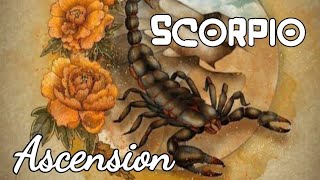 ♏️🛕 SCORPIO inward CATHEDRAL into a GOLDEN UNICORN 💛🦄 scorpio tarot zodiac [upl. by Hsur]