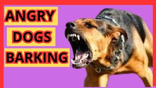 ANGRY Dogs Barking Sound Effects Aggressive Dogs Barking Compilation [upl. by Nodyarg]