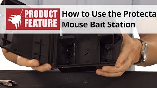 How to Use the Protecta Mouse Bait Station  Protecta Mouse Bait Station Review [upl. by Hatfield]