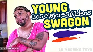 Lo Mejor De Young Swagon 16  Videos De Risa [upl. by Nerine]