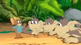 tom and jerry  Monkey full episodes  looney tunes cartoons  Wbkidscartoonsbn3ix [upl. by Fidelia]