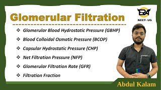 GBHP  BCOP  CHP  NHP  Filtration fraction  GFR  Glomerular filtration Excretion NEET [upl. by Bathesda]