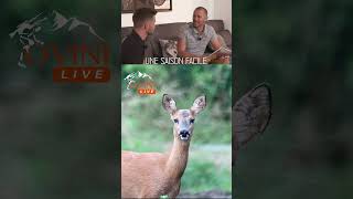 Ovini Live 2 avec DivineChasse hunting chasse live rivolierchasse1830 [upl. by Hazlett602]