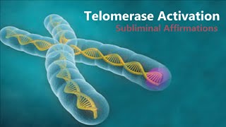 𝄞 Telomerase Activation  Telomere Rejuvenation for Eternal Youth V21  Classical Music [upl. by Possing]