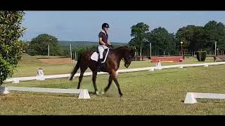 MBF Zenith Good Lux  YEH  The Vista  Dressage Phase  8495  May 2023 [upl. by Ailhat]