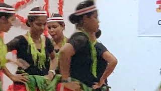 Nicobari dance at TGCE port Blair [upl. by Ahsener591]