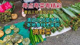 粤点粤菜粤精彩，清远三坑温泉之旅（三），三坑菜市场本地食材大采购，摘野菜，粤语中字幕2024530 [upl. by Ainesej894]