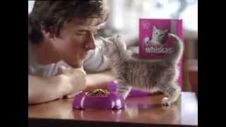 WHISKAS®  Moeder TV Reclame [upl. by Varney]