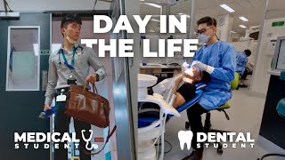 Day in the Life of a Medical Student vs Dental Student [upl. by Siderf]