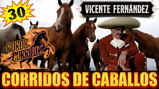 🔥MIX VICENTE FERNANDEZ 2024🔥 CORRIDOS DE CABALLOS 🐴 PURAS VIEJITAS PARA PISTEAR 🔥 [upl. by Stiles]