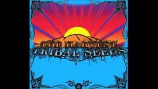 Tribal Seeds  Away [upl. by Eb]