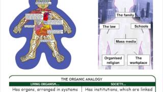 SY1 Functionalism [upl. by Eslek]