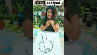 trellis ideas 💡 अपराजिता money plant gardening explore shorts [upl. by Thorman926]