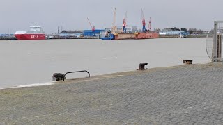 AmerikaHafen Steubenhöft Cuxhaven Live Webcam Livestream [upl. by Sklar504]