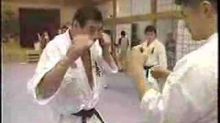 Karate kyokushin training From the 8th world open [upl. by Einwahs]