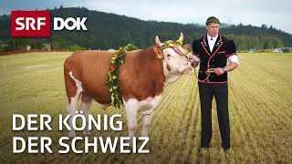 Der König der Schweiz – Vom Schwingen und seinen Helden  Doku  SRF Dok [upl. by Anirahc]