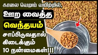 வெந்தயம் மருத்துவ நன்மைகள்  Top 10 Health Benefits of Soaked Fenugreek Seeds in Tamil  venthayam [upl. by Eycal]