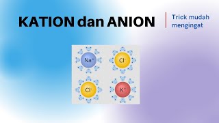 Kation Dan Anion [upl. by Ellenrad]