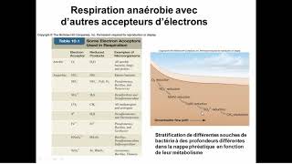 Microbiologie Générale 2019  Métabolisme Énergétique 2 [upl. by Ydnolem361]