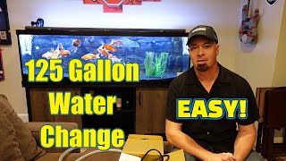 Goldfish 125 Gallon water changeEASYgoldfish aquarium [upl. by Smada]