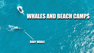 Baby whale at Quobba Blowholes  Episode 53 [upl. by Tarryn]