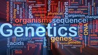 Genetics Lecture 1Genotype amp Phenotype [upl. by Bohlen]