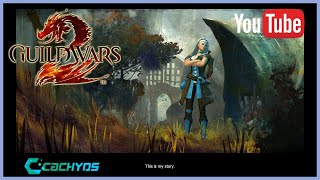 Guild Wars 2 on CachyOS Linux 3 [upl. by Ned]