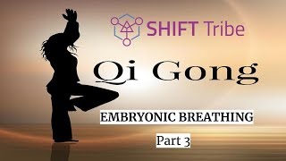 QIGONG Meditation Embryonic Breathing  Part 3 [upl. by Quickman193]