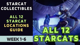 All Starcat Locations Guide  Week 16  Season of the Wish  Destiny 2 [upl. by Ytsirc142]