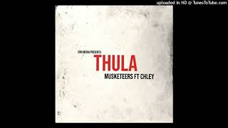 Musketeers  Thula ft Chley Audio Visualizer [upl. by Odlaner]