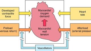 Using Vasodilators to manage Heart Failure [upl. by Kcirded]